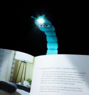 Svjetiljka s klipom za knjigu Flexilight Bookworm Teal