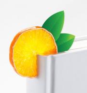 Straničnik za knjige veselog dizajna Fruitmark Orange