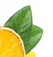 Straničnik za knjige veselog dizajna Fruitmark Orange
