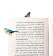 Straničnik za knjige samoljepljiv za višekratnu upotrebu Stikki Marks Winter Birds